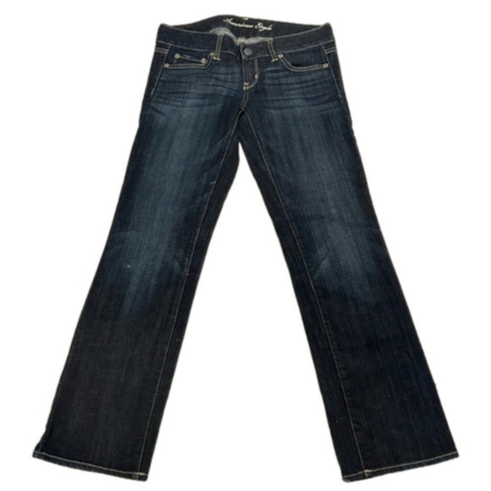 American Eagle Stretch Straight Size  2 Short